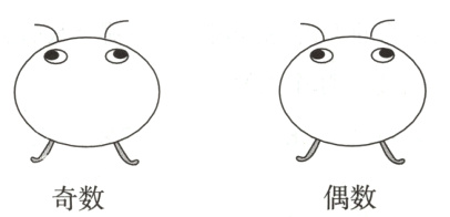 偶数奇数