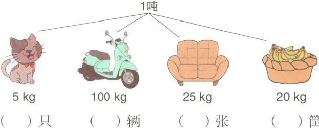 5kg100kg25kg20kg只辆张筐