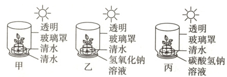 清水清水氧化钠溶酸氢钠