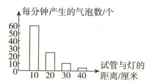 3020口试管与灯的010203040距离/厘米