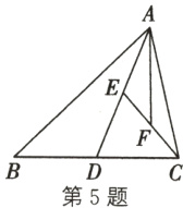 第5题