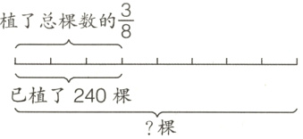 已植了240棵棵