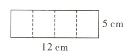 1175cm12cm