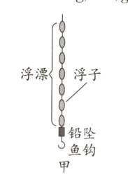 铅坠鱼钩