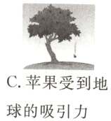 C苹果受到地球的吸引力