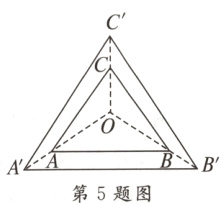 B第5题图