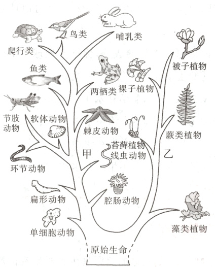 单细胞动物1原始生命