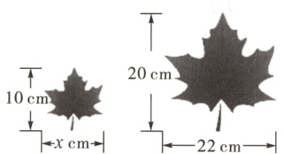 10cmxcm→22cm−→