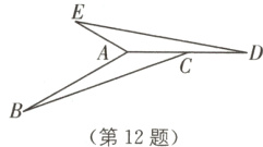 第12题
