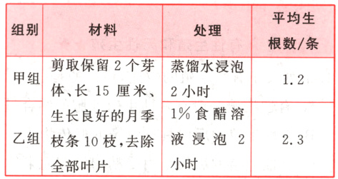 乙组液浸泡223枝条10枝去除小时全部叶片
