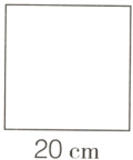 20cm