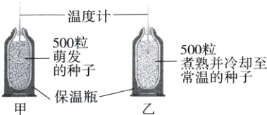 常温的种子保温瓶