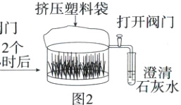 小时后澄清石灰水图2