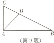第9题