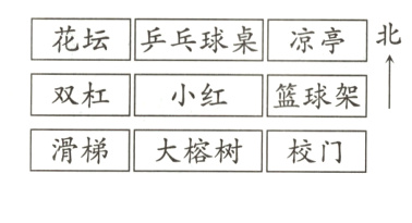滑梯大榕树校门