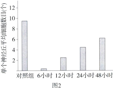 对照组6小时12小时24小时48小时图2