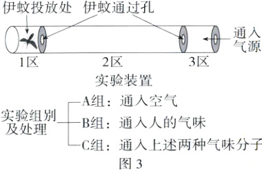 组通入上述两种气味分子图3
