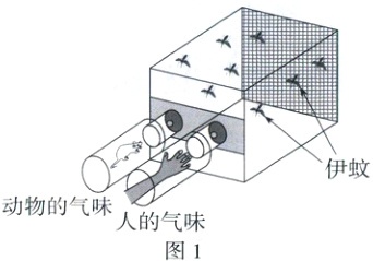 动物的气味人的气味图1