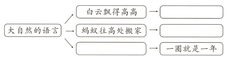 一一圈就是一年