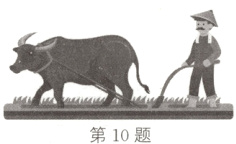 第10题