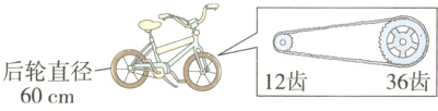 后轮直径36齿12齿