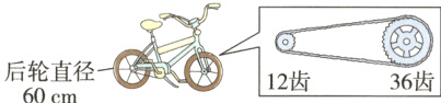 后轮直径12齿36齿