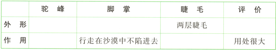 作用用处很大行走在沙漠中不陷进去
