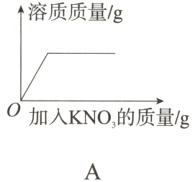0加入KNO的质量/g