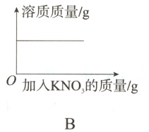 0加入KNO的质量/g