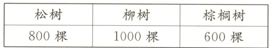 棕榈树800棵1000棵600棵