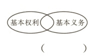 基本权利基本义务
