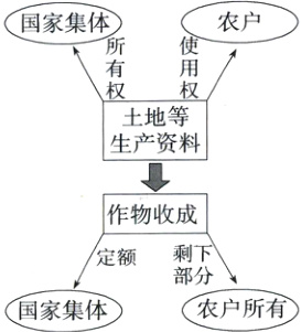 定额国家集体农户所有