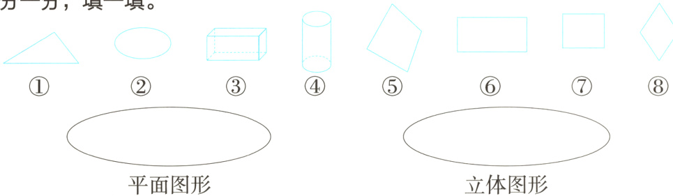 立体图形平面图形