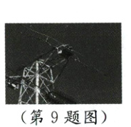 第9题图