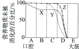 −OABCDE口腔大肠