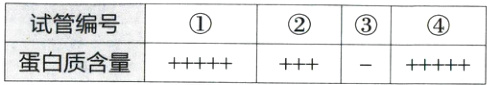 试管编号蛋白质含量++++++++−+++++