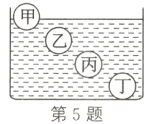 第5题