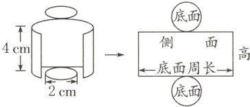 q一底面周长底面2cm