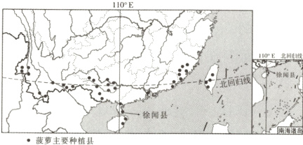 菠萝主要种植县