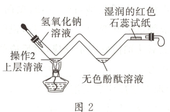 无色酚酞溶液图2