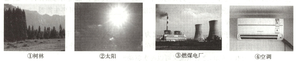 燃煤电厂树林太阳空调