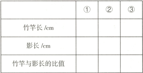 竹竿与影长的比值
