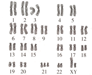 13141516171819嚣8&619202122XY