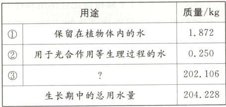 202106204228生长期中的总用水量