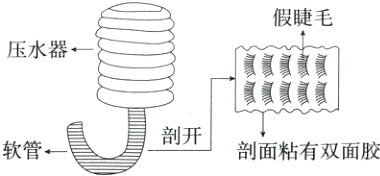 软管昌剖开剖面粘有双面胶