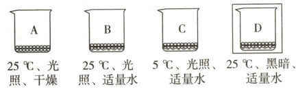 25℃光25℃光5℃光照25℃黑暗适量水适量水照干燥照适量水