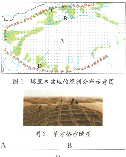 图1塔里木盆地的绿洲分布示意图