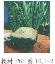 教材P64图1012