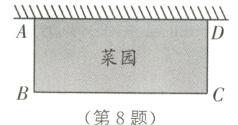 菜园第8题