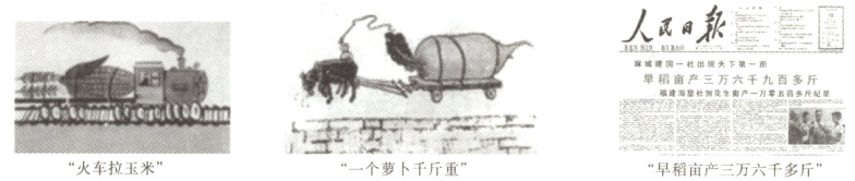 旱稻亩产三万六千多斤 火车拉玉米 一个萝卜千斤重